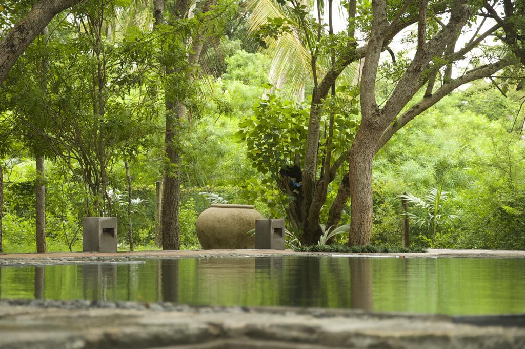 Lagoon House Rekawa Tangalle Esterno foto
